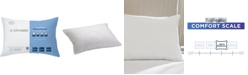 AllerEase Hot Water Wash Firm Density Pillow, Standard